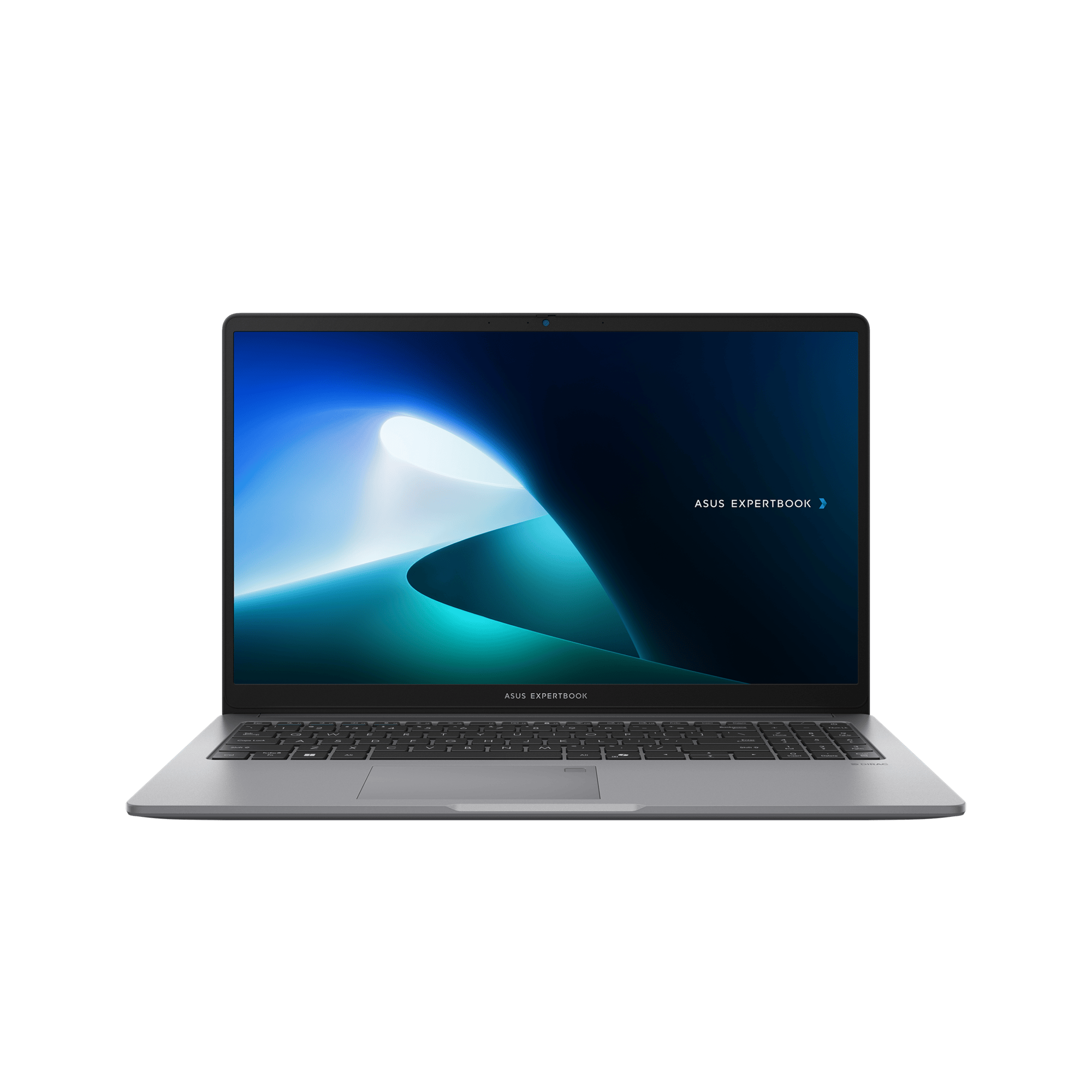 ExpertBook P1 (P1503)